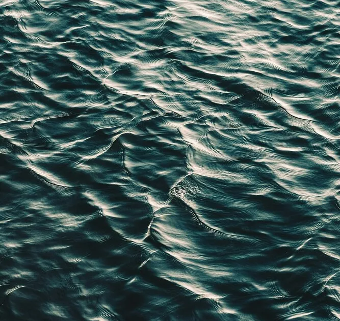 Photo by Akira Hojo on Unsplash