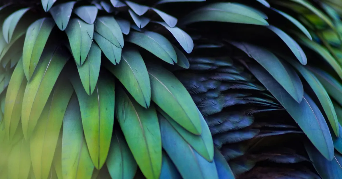 Foto di Alexander Sinn su Unsplash