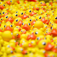 Foto di Andrew Wulf su Unsplash
