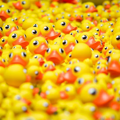 Foto di Andrew Wulf su Unsplash