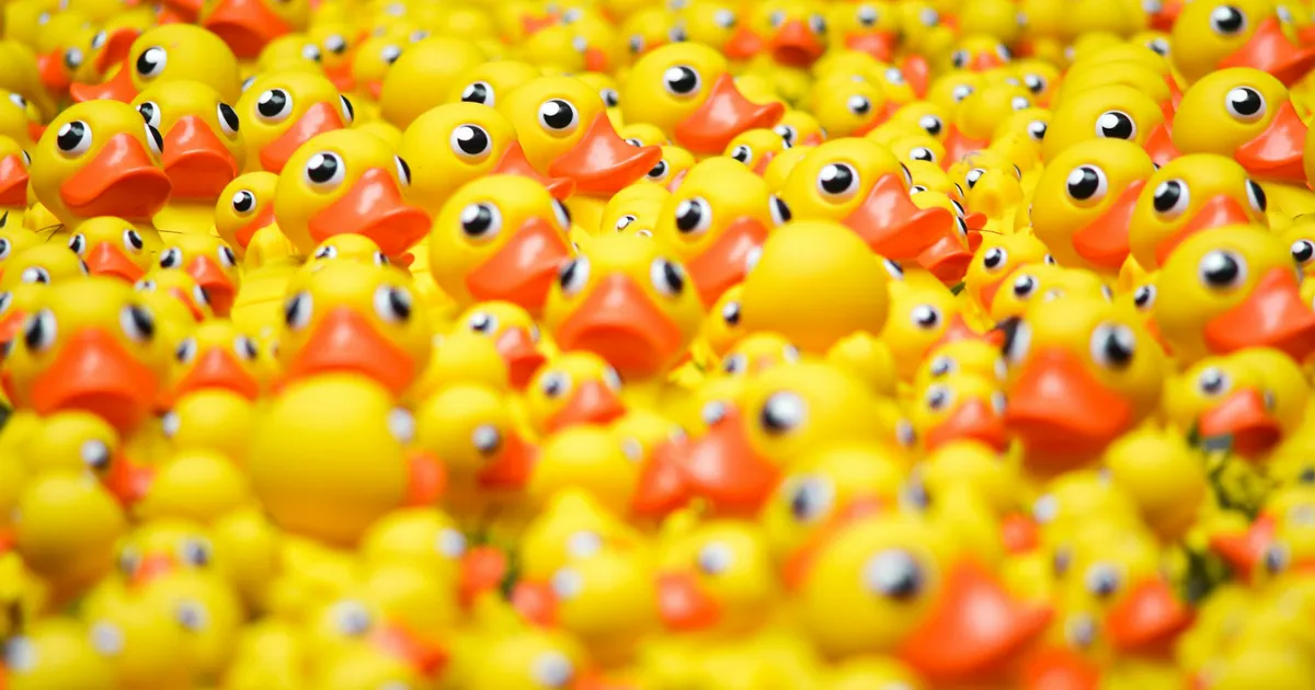 Foto di Andrew Wulf su Unsplash