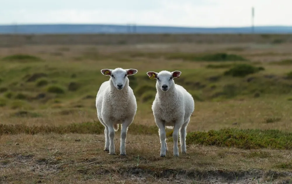Foto di Jørgen Håland