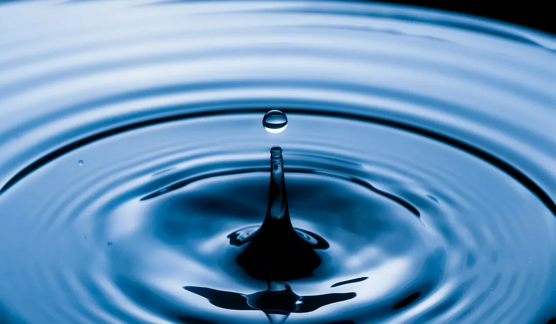 Foto di Omar Gattis su Unsplash