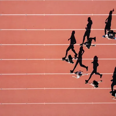 Foto di Steven Lelham su Unsplash
