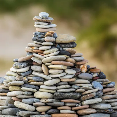 Foto di Zdeněk Macháček su Unsplash